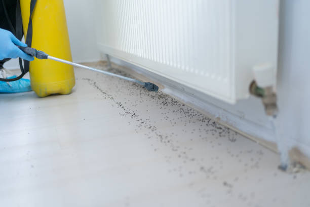 Best Pest Control for Multi-Family Homes  in Davison, MI